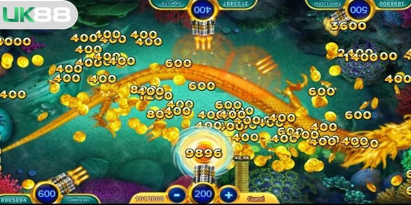 Tham gia cuộc du ngoạn đại dương chân thực